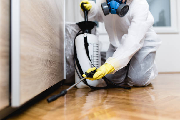 Best Best Pest Control Companies  in Glenwood, IA