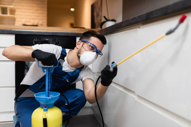 Best Residential Pest Control  in Glenwood, IA