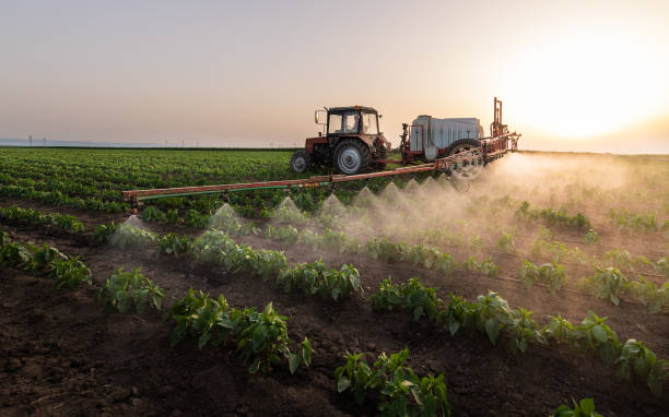 Best Pest Control Near Me  in Glenwood, IA