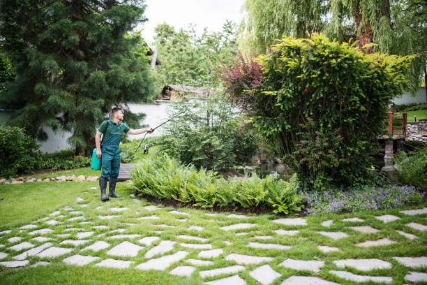 Best Affordable Pest Control Services  in Glenwood, IA