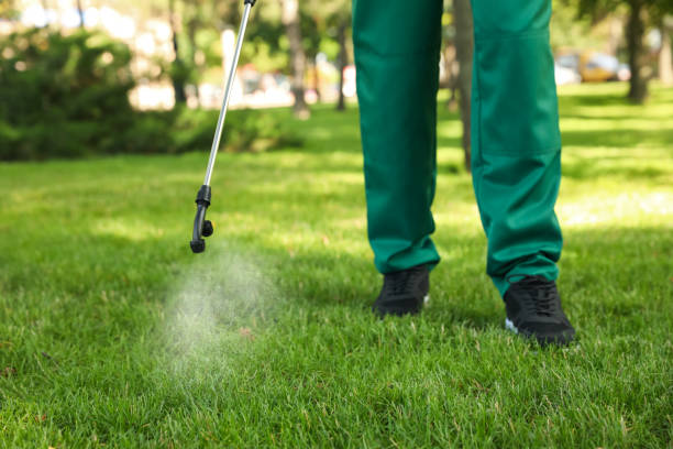 Best Emergency Pest Control  in Glenwood, IA