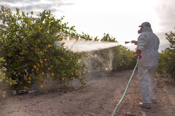 Best Local Pest Control Services  in Glenwood, IA