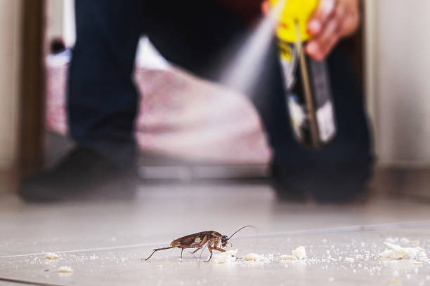 Best Wildlife Control Services  in Glenwood, IA