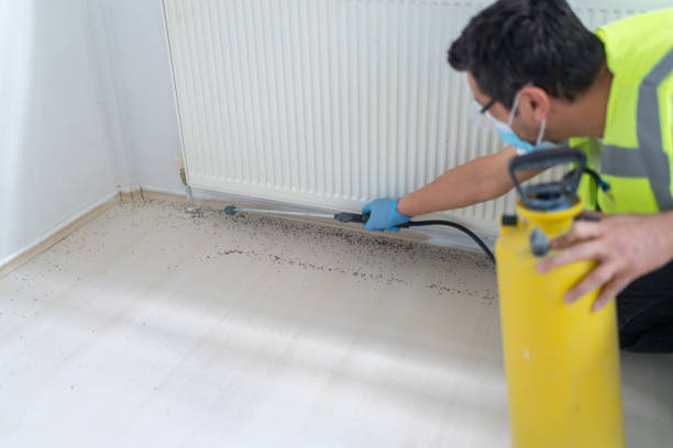 Best Cockroach Control Services  in Glenwood, IA
