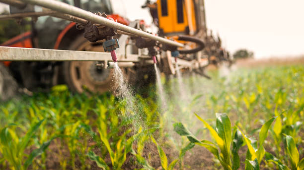 Best Best Pest Control Near Me  in Glenwood, IA