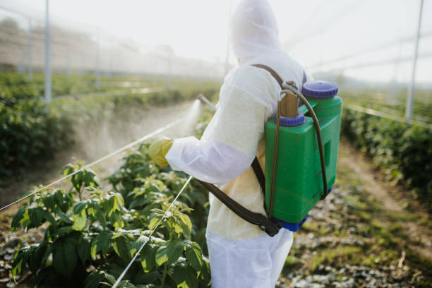 Best Mosquito Control Services  in Glenwood, IA